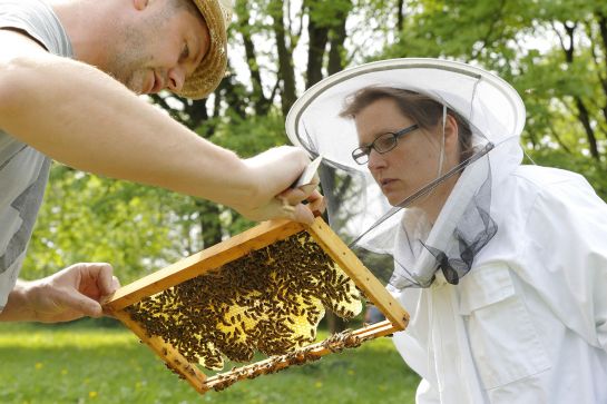 In voller Montur: Dr. Grandel beim Faulbrutmonitoring