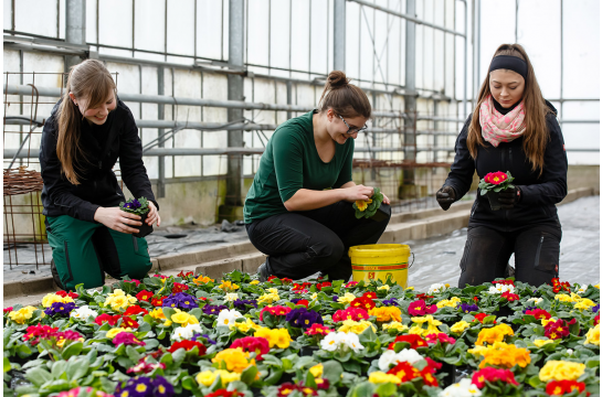 Ausbildung - Gärtner