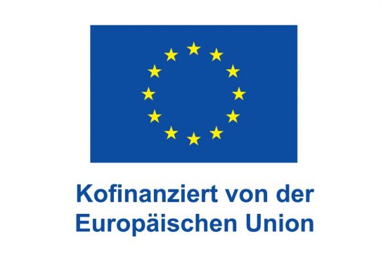 Logo ESF Plus