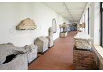 Römische Artefakte Museum