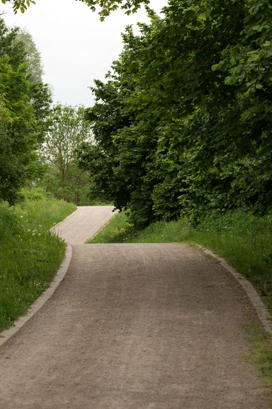 Fotografie - Weg im Park