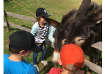 MGH_Kinderclub_Ausflug (C) MGH, Stadt Regensburg