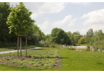 Fotografie - Blick in den Park