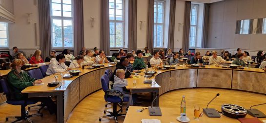 Fotografie - Gemeinsame Sitzung des Jugend- und des Kinderbeirates im Sitzungssaal des Regensburger Stadtrates