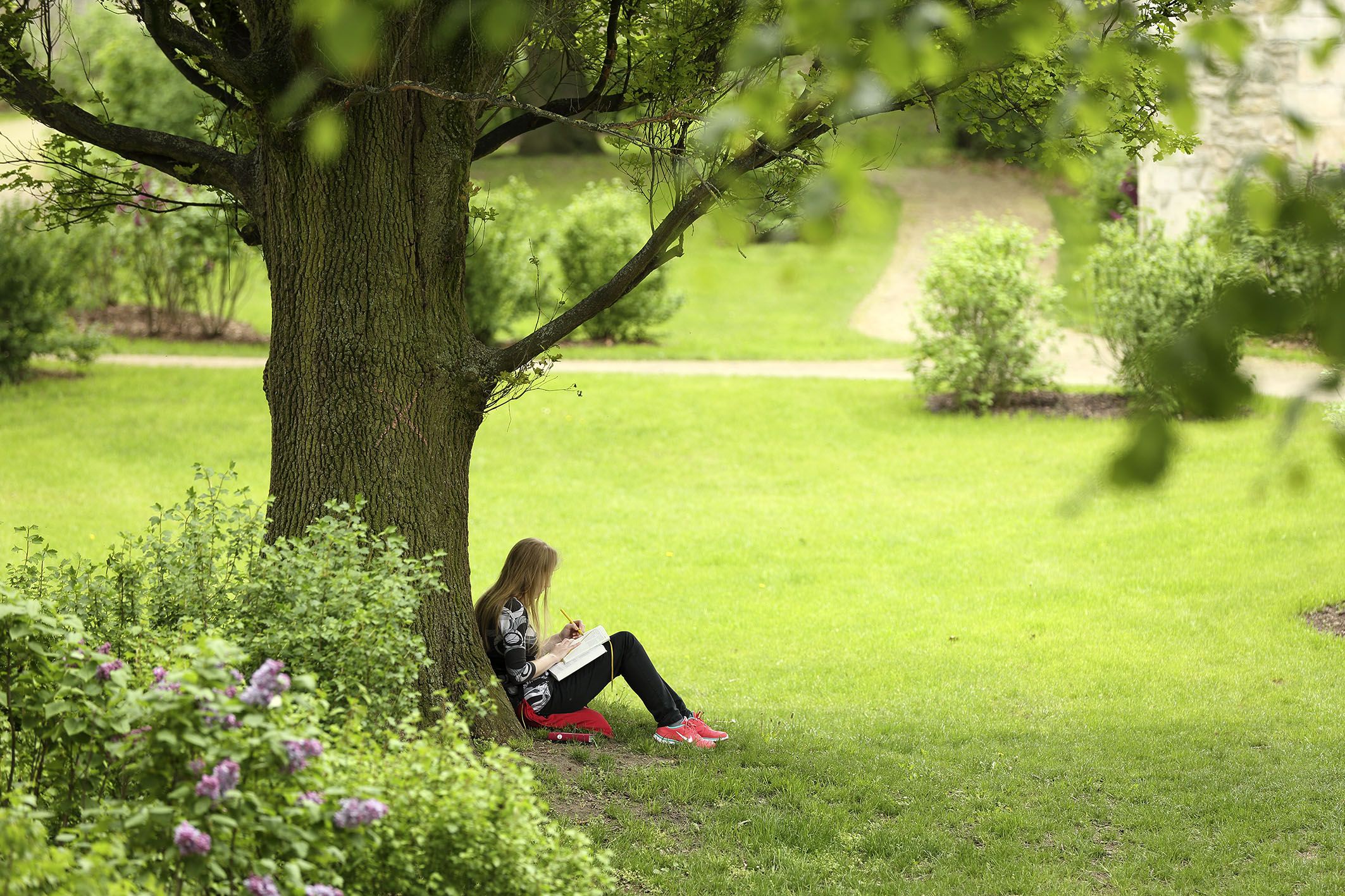 Fotografie: Eine junge Frau sitzt an einem Baum gelehnt im Gras und schreibt etwas auf.