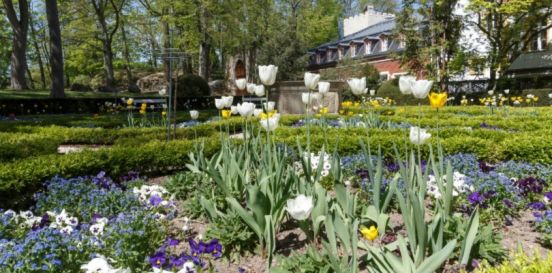 Fotografie: Frühling im Herzogspark