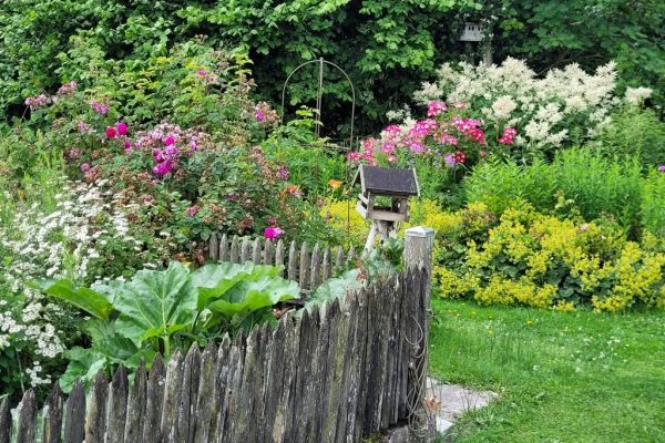 Fotografie: Garten mit Blumen