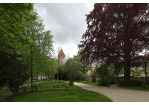 Fotografie - grüne Wiesen und Spazierweg, im Hintergrund der Turm des Ostentors