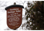 Fotografie - Infotafel Feuchtbiotop Kneitinger Weiher (C) Bilddokumentation Stadt Regensburg