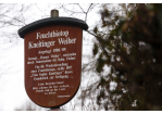 Fotografie - Infotafel Feuchtbiotop Kneitinger Weiher © Bilddokumentation Stadt Regensburg