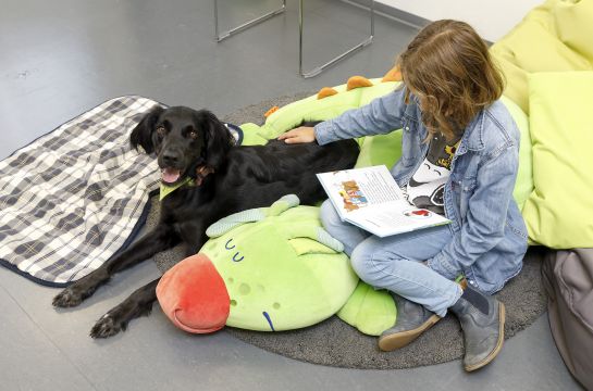 Fotografie: Ein Kind liest einem schwarzen Hund vor.