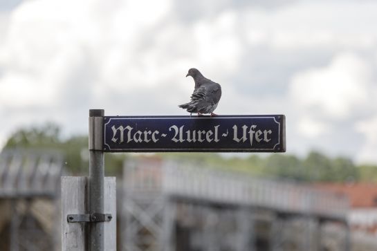 Marc-Aurel-Ufer Straßenschild (C) Stadt Regensburg, Effenhauser