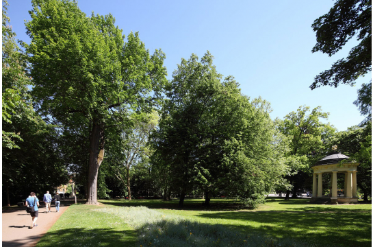 Park mit Bäumen und Keplermonument