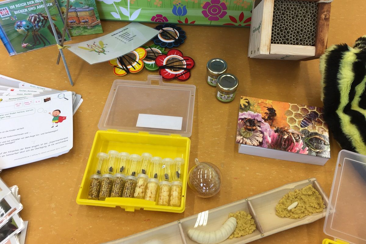 Vorschaubild Bienenkoffer