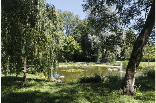 Fotografie: Gewässer im Charlotte-Brandis-Park