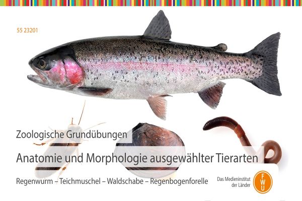 Vorschaubild Unterrichtsfilm