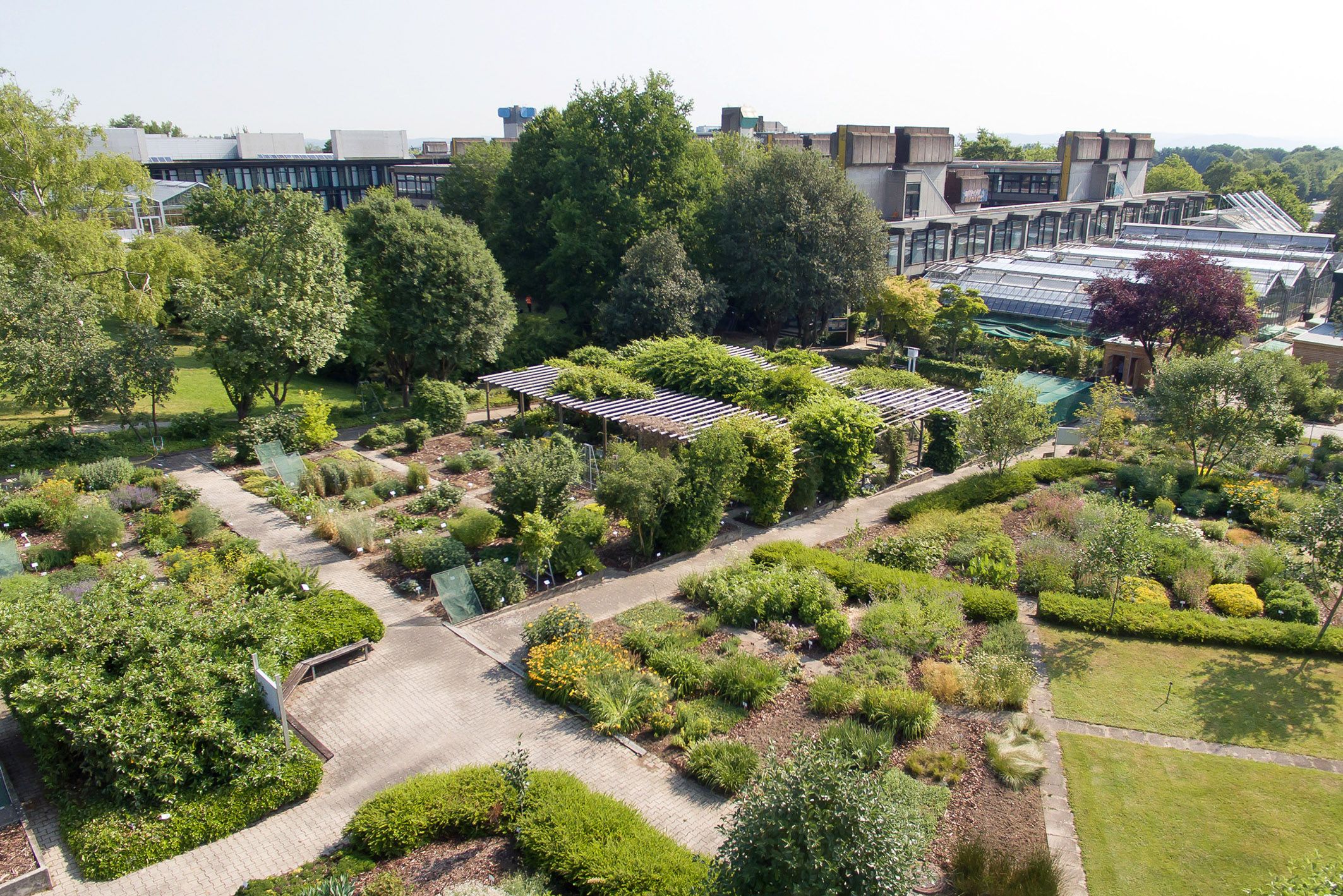 Fotografie: Der botanische Garten der Universität 