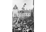 Fotografie: Aufstellen eines Maibaums auf dem Haidplatz (C) Bilddokumentation Stadt Regensburg