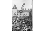 Fotografie: Aufstellen eines Maibaums auf dem Haidplatz