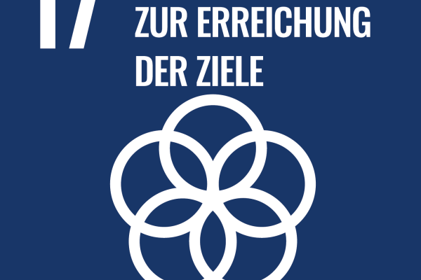 Nachhaltigkeit - Ziel 17 - Partnerschaften zur Erreichung der Ziele 