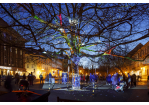 Fotografie: Die Installation „CerebriTree“ auf dem Městský-Park (C) Bilddokumentation Stadt Regensburg