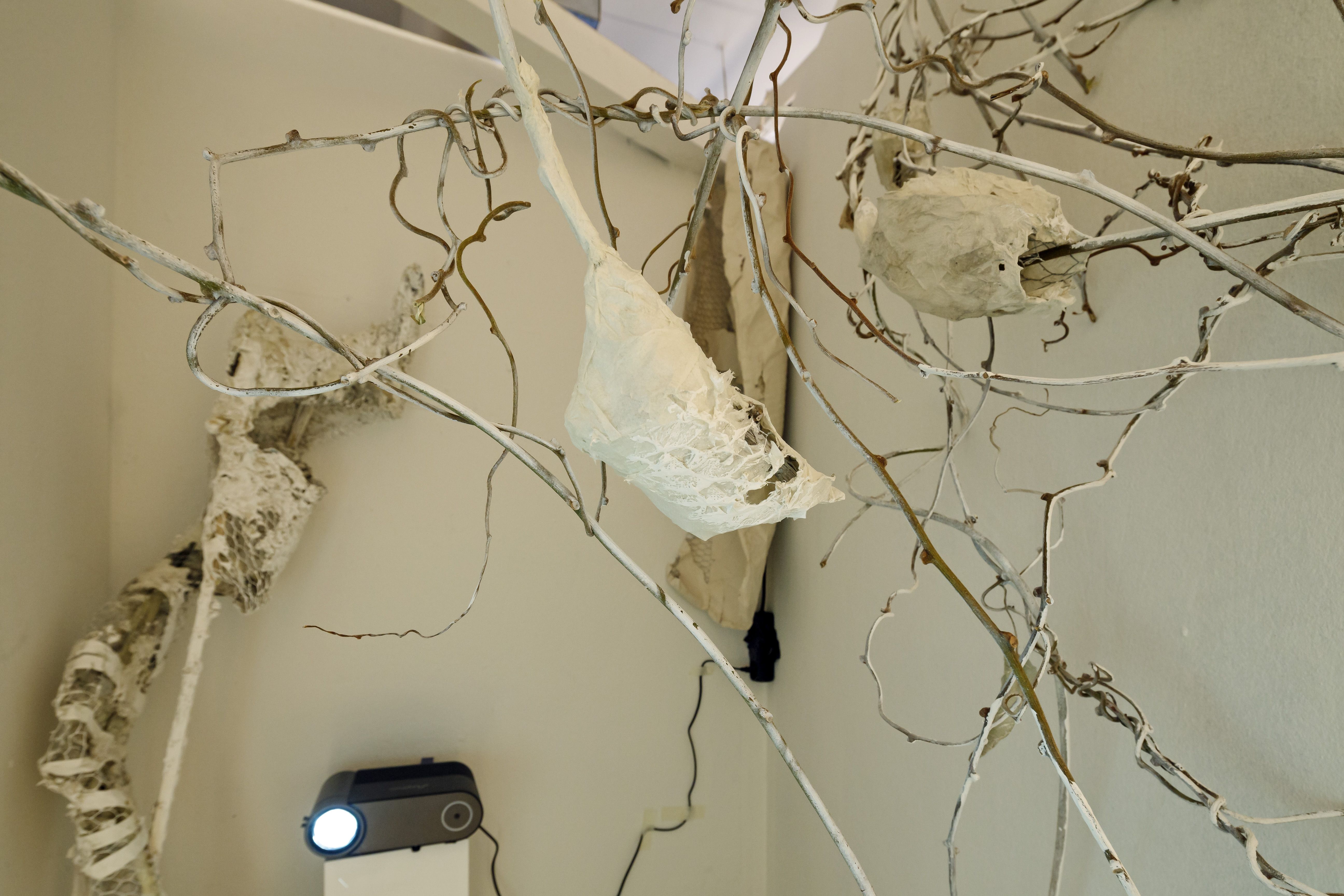 Fotografie – die kleinste galerie