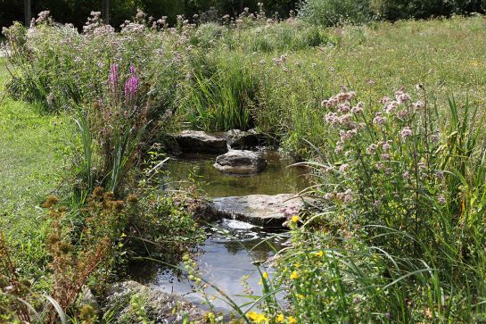 Fotografie - Bachlauf mit Blumen