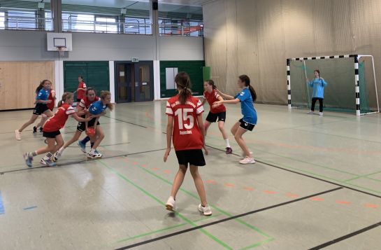 Handballerinnen Mädchen IV 3.bay.Meister_im Spiel