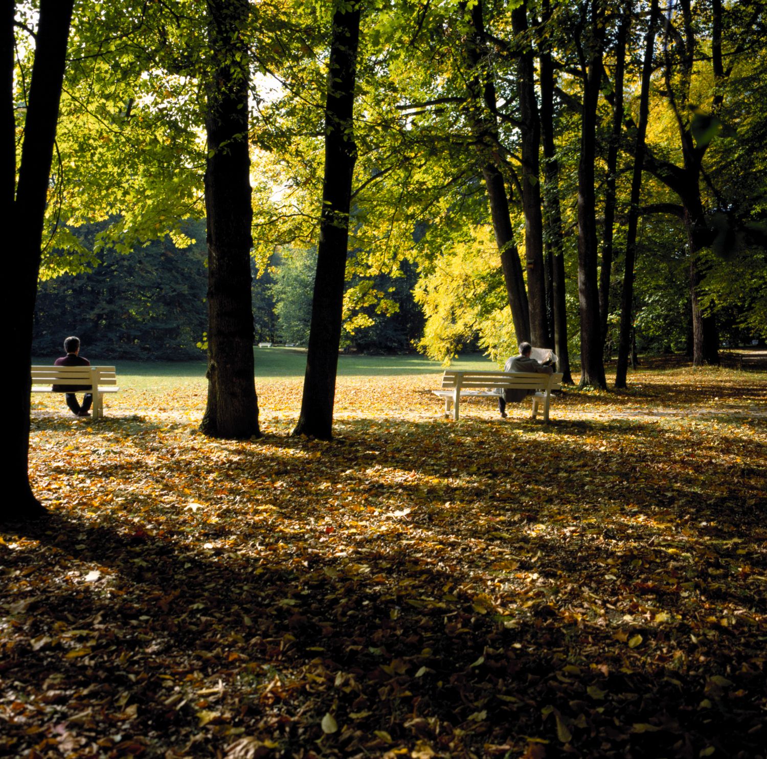 Leben in Regensburg Doernbergpark