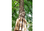 Baum mit Holzschutz in Slackline-Parks