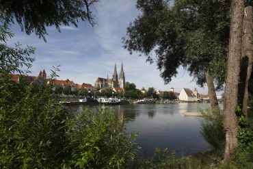 Ein Blick vom Flussufer auf die Donau, Uferbegrünung und den Regensburger Dom.
