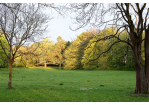 Fotografie - Wiese (C) Bilddokumentation Stadt Regensburg