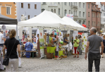 Blick auf die Stände der Ehrenamtsmesse