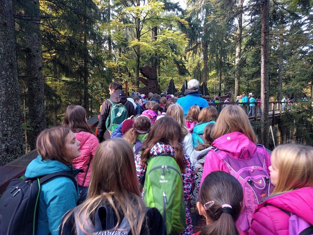  Wanderung im Wald
