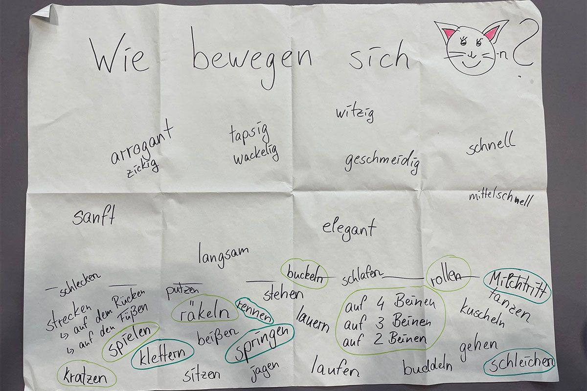 Fotografie - Plakat mit Stichpunkten, die Wesenszüge von Katzen beschreiben