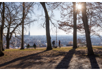Fotografie - Blick vom Dreifaltigkeitsberg über Altstadt (C) Bilddokumentation Stadt Regensburg