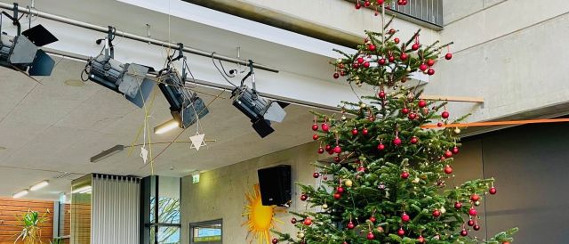 Weihnachtsbaum 2025