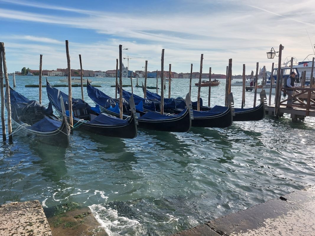 Venedig MüMa