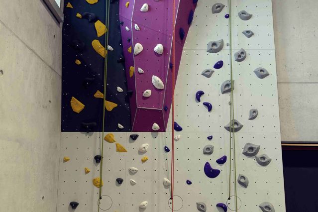 Auf dem Foto ist eine Kletterwand zu sehen.
