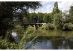 Fotografie - Fußgängerbrücke umgeben von Bäumen über die Donau