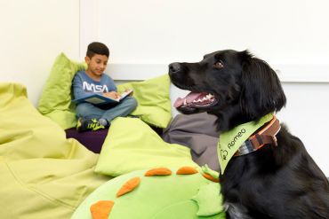 Hund und Kind