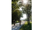 Fotografie - Donauradweg (C) Bilddokumentation Stadt Regensburg