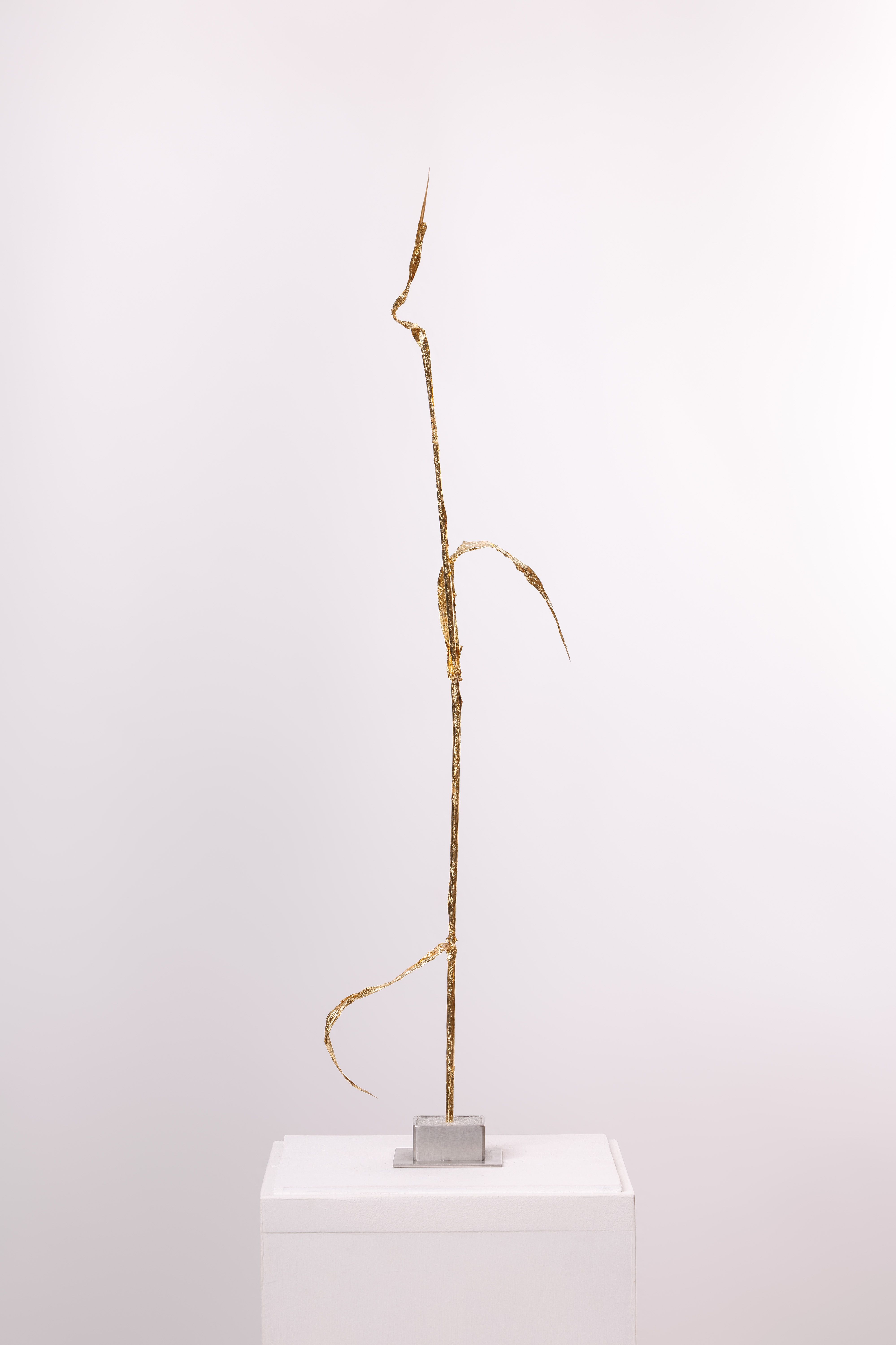 Fotografie – ein mit Gold überzogener Strohhalm