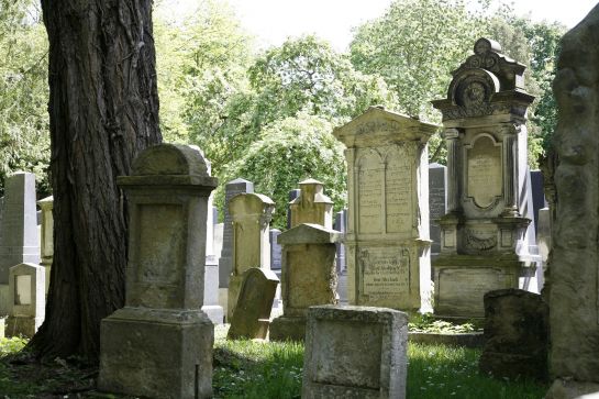 Fotografie: Grabsteine im Jüdischen Friedhof