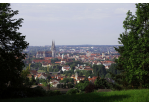 Fotografie - Blick über die Regensburger Altstadt