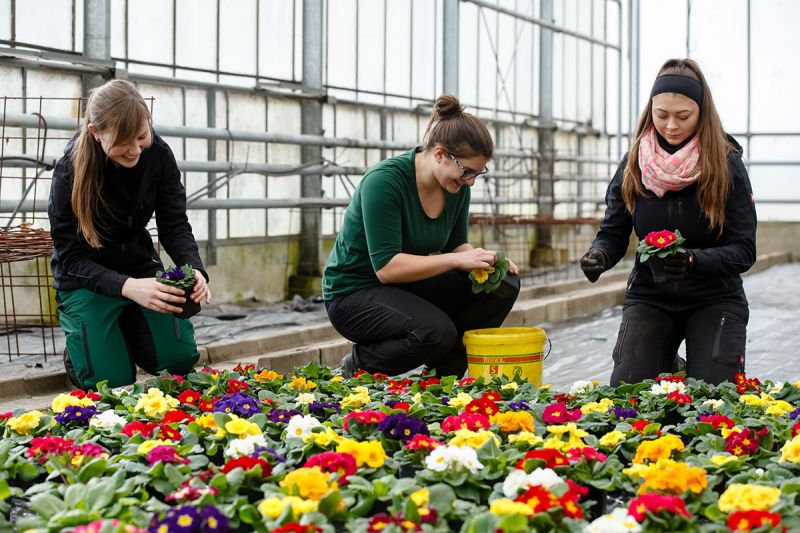 Stadt Regensburg Ausbildung und duales Studium Aktuelle