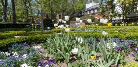 Fotografie: Frühling im Herzogspark