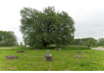 Fotografie - Grillplatz im Park (C) Bilddokumentation Stadt Regensburg