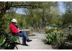 Fotografie: Ein Mann sitzt auf einer Parkbank in der Sonne und liest ein Buch. (C) Bilddokumentation Stadt Regensburg