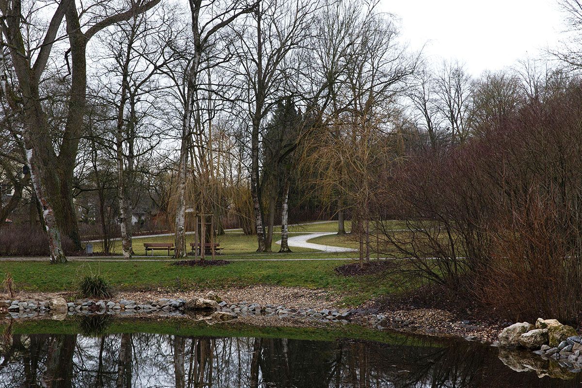 Fotografie - See im Vordergrund, im Hintergrund Wiesen und Bäume